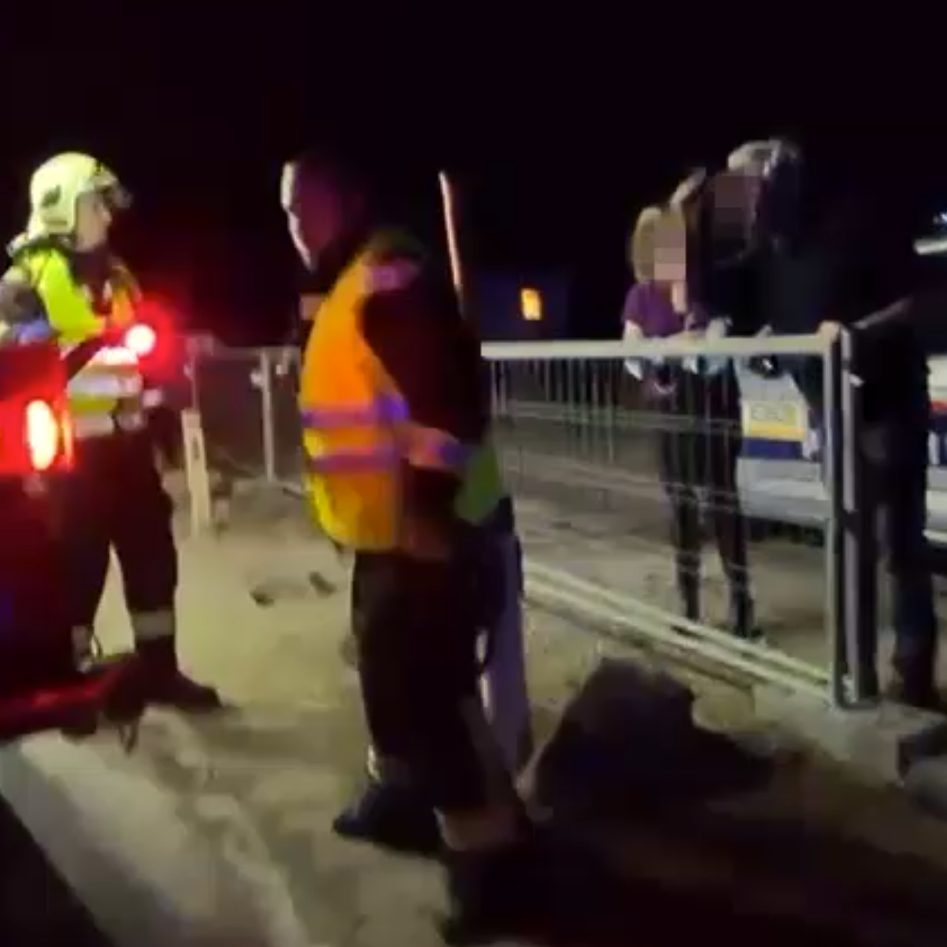 Ein Mann attackierte die Mitglieder der FF Wiener Neustadt verbal.