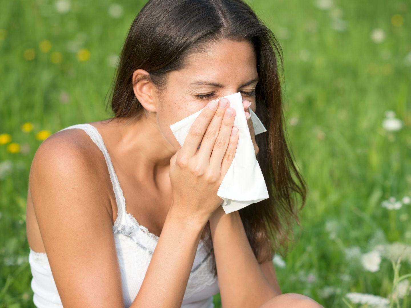 Pollenflugvorhersage für das Donauinselfest in Wien.