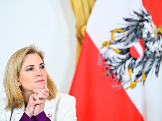 Außenministerin Meinl-Reisinger (Archivbild)