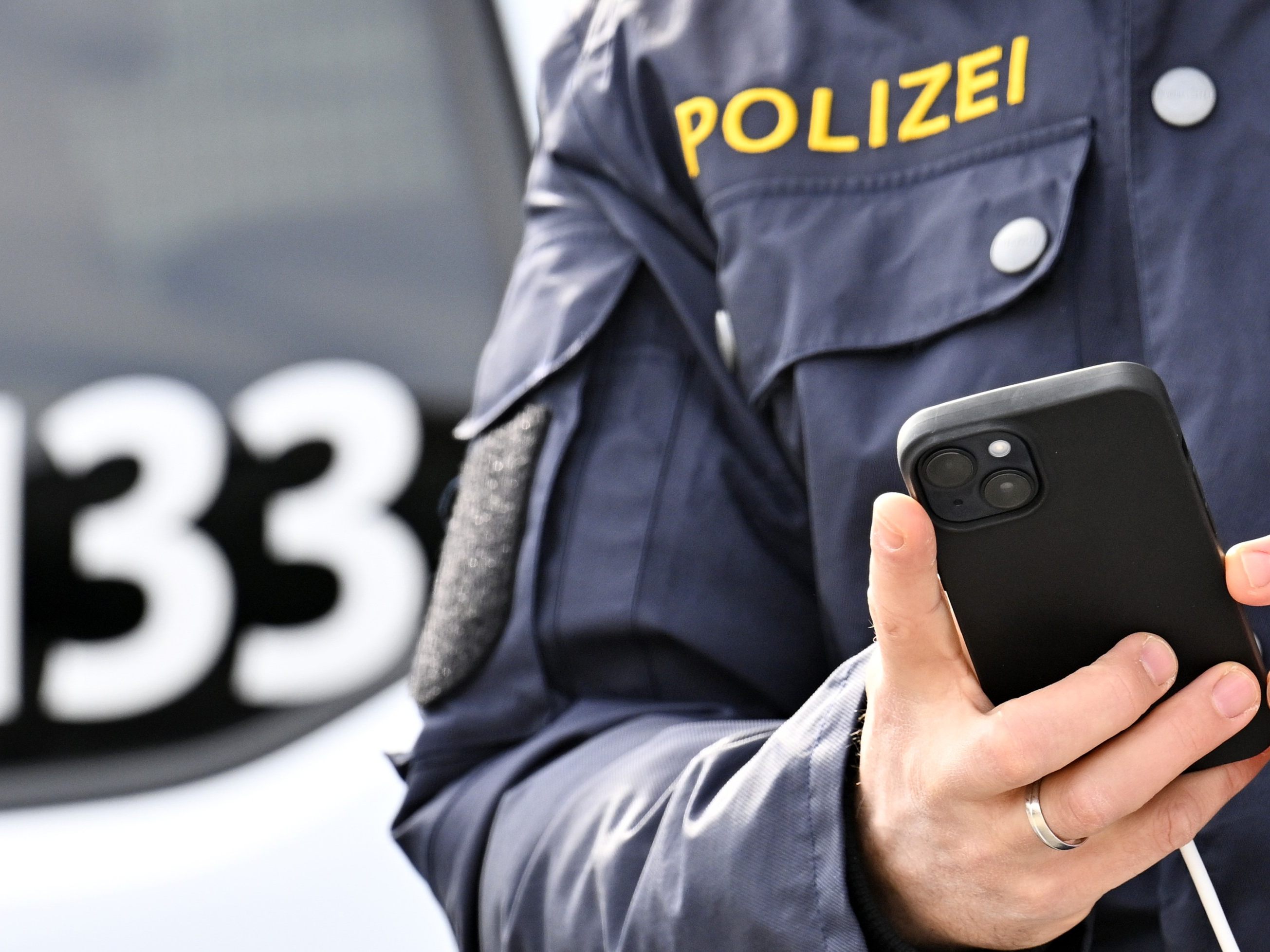 Ort des Geschehens war der Bezirk Neunkirchen.