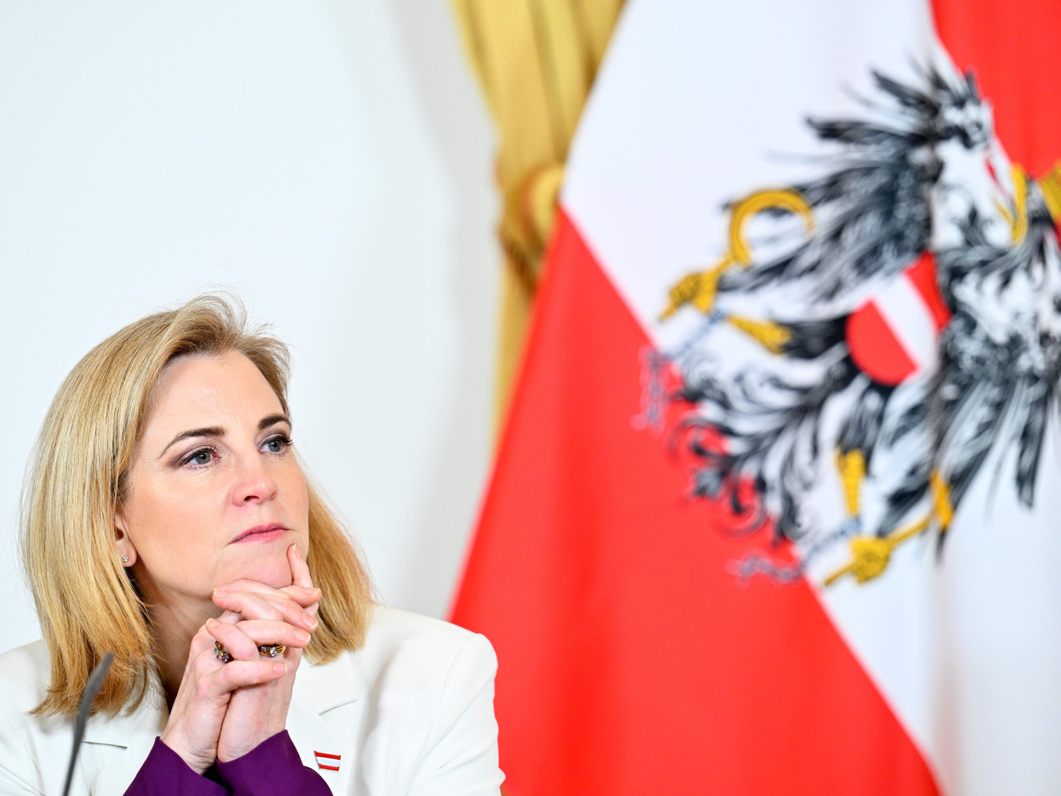 Die Entsendung erfolgt auf Antrag von Außenministerin Meinl-Reisinger (NEOS).